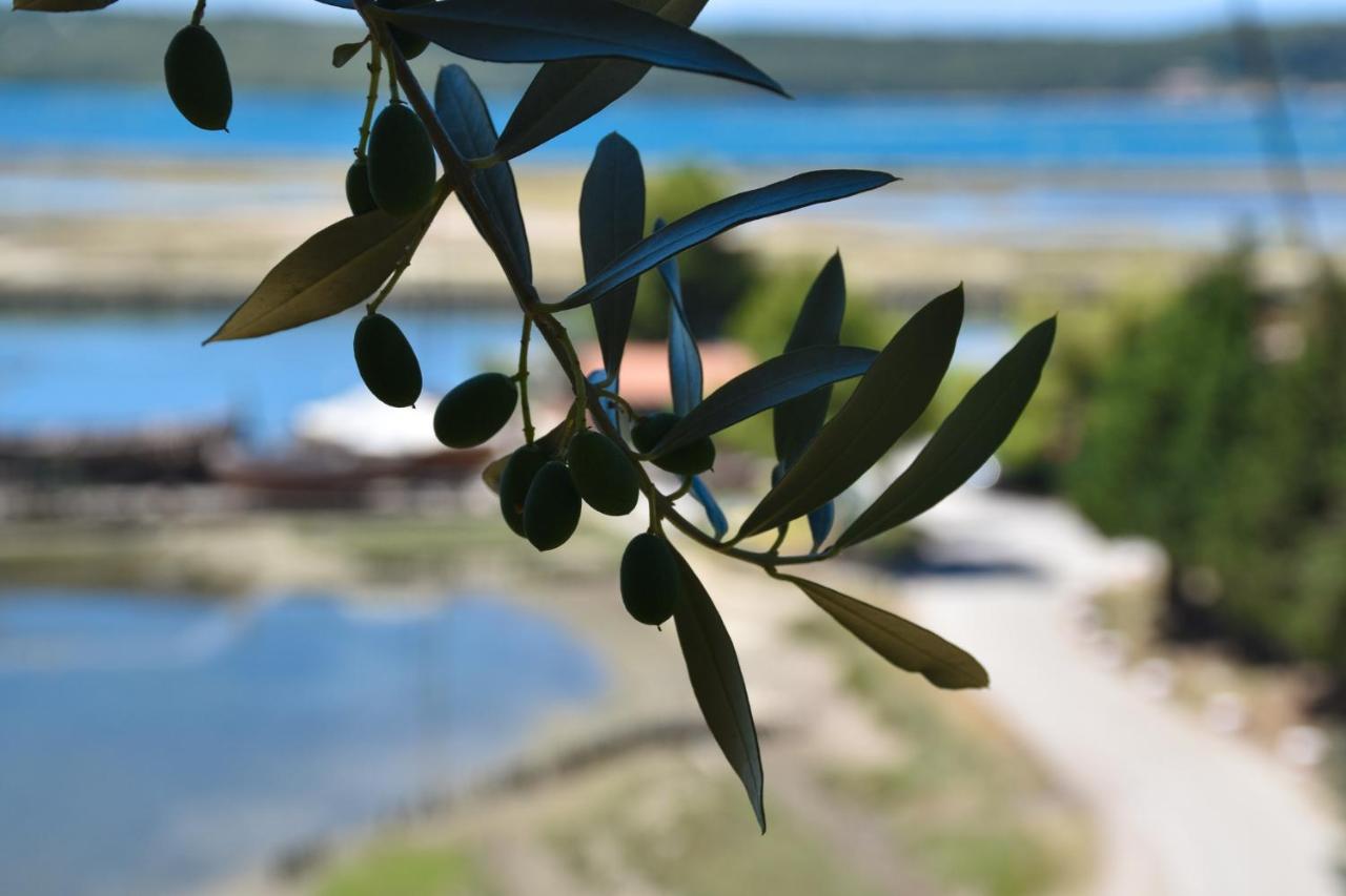 Olive Garden & Sea Apartments Порторож Екстер'єр фото